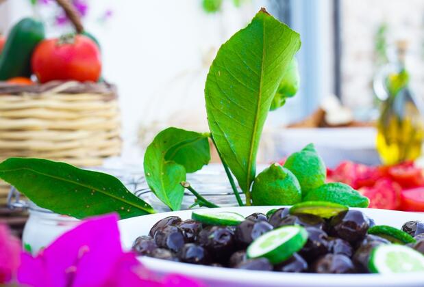 Ömer Ağa Konağı Cunda - Görsel 20