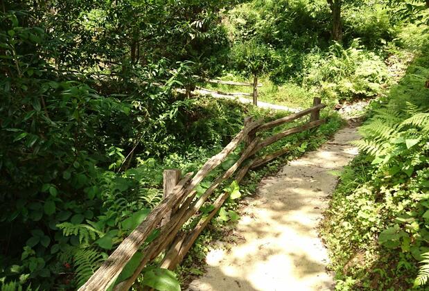 Demircioğlu Ortan Köyü Konağı - Görsel 14