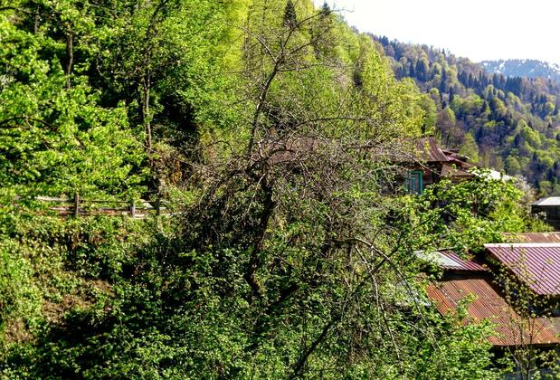 Demircioğlu Ortan Köyü Konağı - Görsel 31