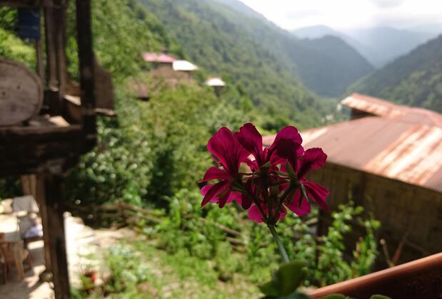 Demircioğlu Ortan Köyü Konağı - Görsel 34