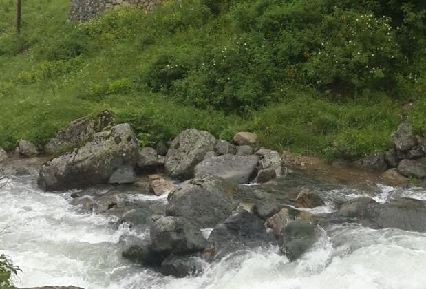 Dağevi Apart Uzungöl - Görsel 21