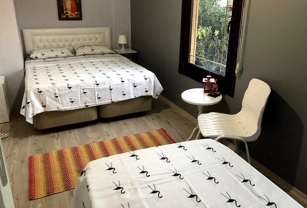 Villa Lacus Sapanca - Görsel 17