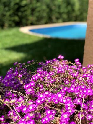 Villa Lacus Sapanca - Görsel 5