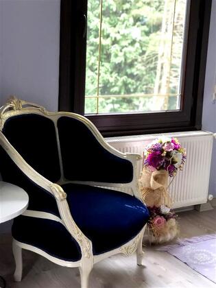 Villa Lacus Sapanca - Görsel 15