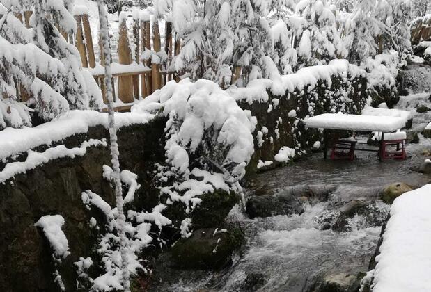 Yeşil Düş Vadisi Bungalov - Görsel 3