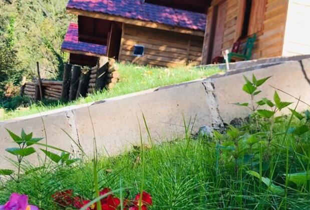 Yeşil Düş Vadisi Bungalov - Görsel 8