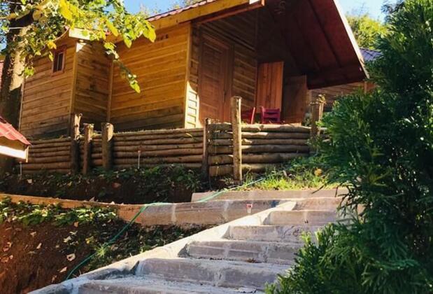 Yeşil Düş Vadisi Bungalov - Görsel 7