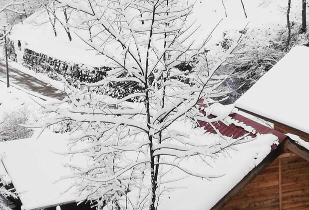 Yeşil Düş Vadisi Bungalov - Görsel 19