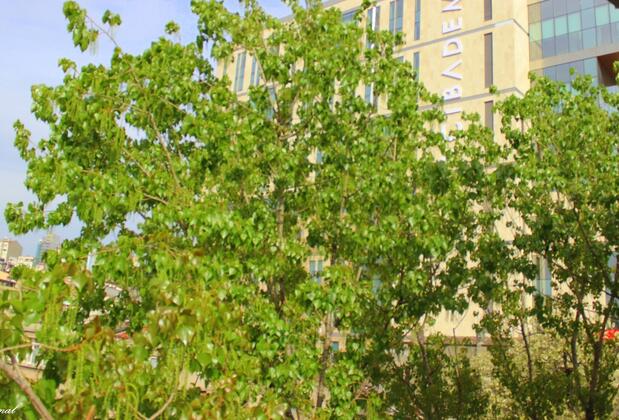 Almond Hill Aparts - Görsel 45