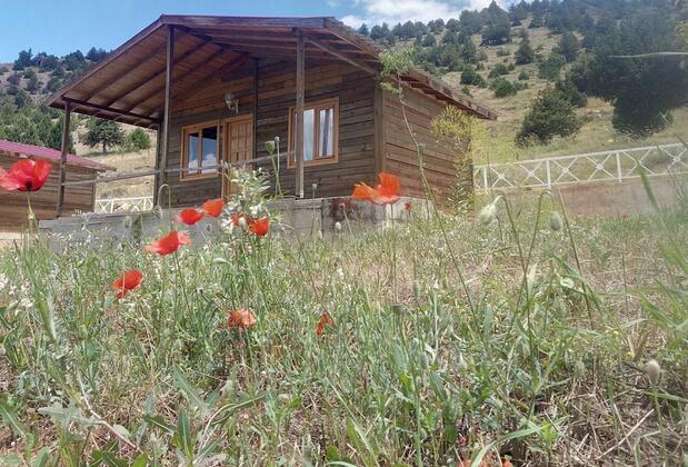 Eylül Bungalow Kahramanmaraş - Görsel 11
