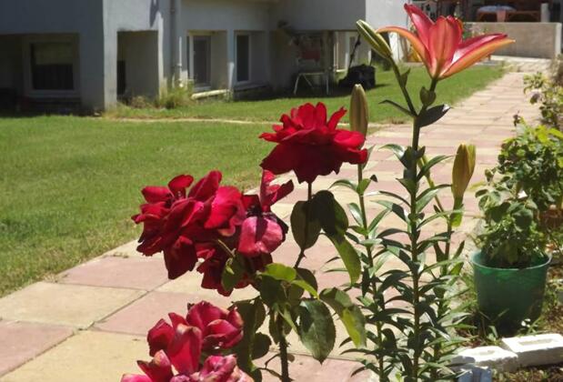 Çalış Poseidon Apart - Görsel 17