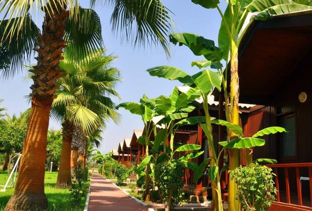 River Park Bungalows - Görsel 7