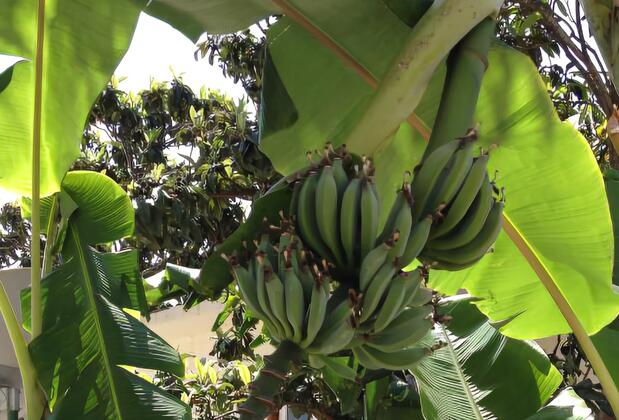 River Park Bungalows - Görsel 25