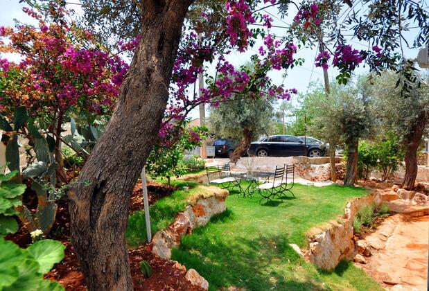 Kaktus Beach Apart - Görsel 28