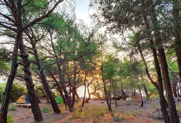 Karadere Park Orman Camping Willage - Görsel 4