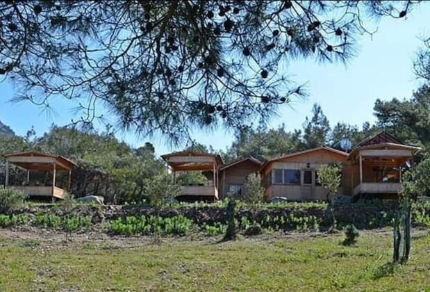 Karadere Park Orman Camping Willage - Görsel 5