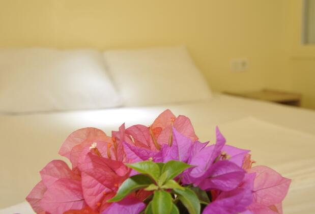 Kekova Koç Pansiyon - Görsel 47