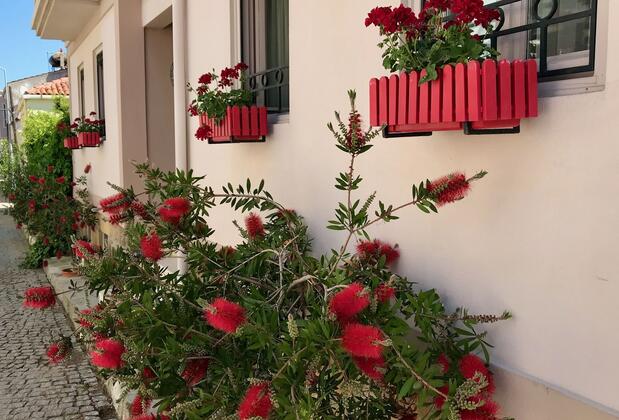 Biz Otel Bozcaada - Görsel 11