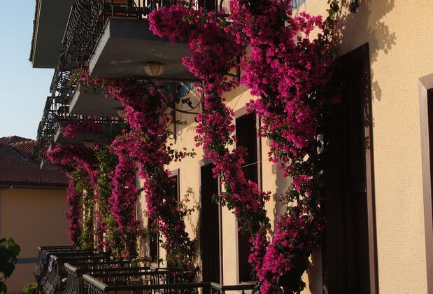 Green Anatolia Otel Fethiye - Görsel 12