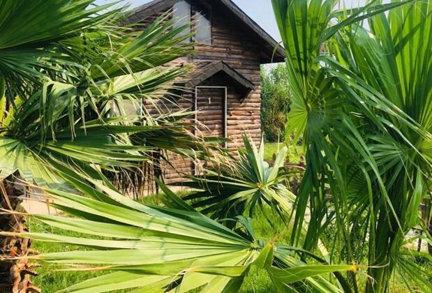 Deniz Tesisleri Hatay - Görsel 10