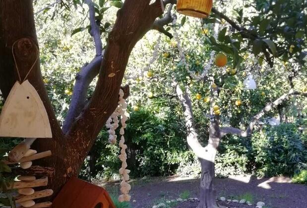 Relax Point Pansiyon - Görsel 17