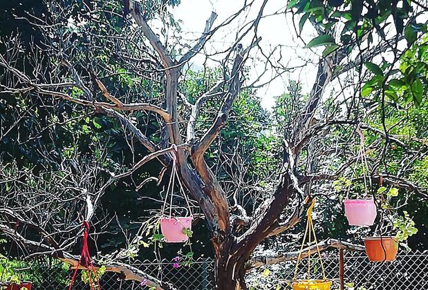 Relax Point Pansiyon - Görsel 19