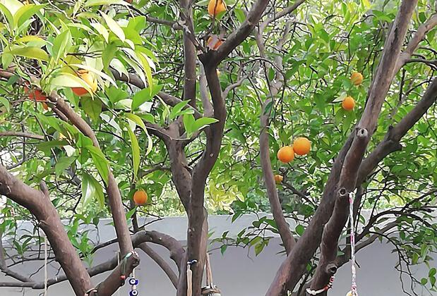 Relax Point Pansiyon - Görsel 22