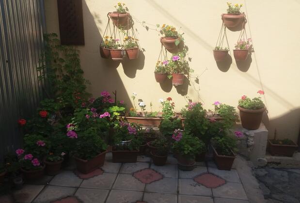 Safranbolu Sarı Konak Otel - Görsel 5