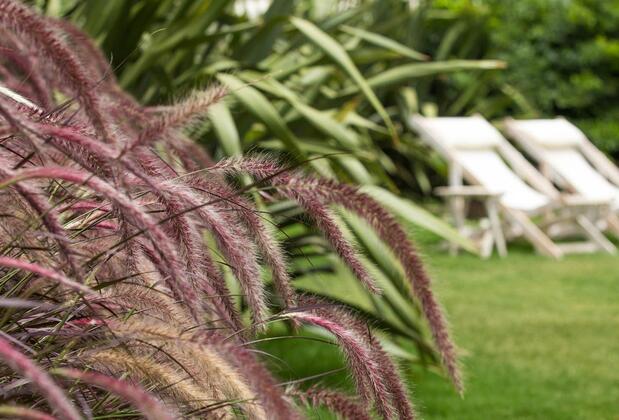 Design Hotel Alaçatı - Görsel 9