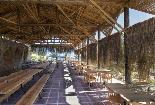 Antique Beach & Bungalow - Görsel 13