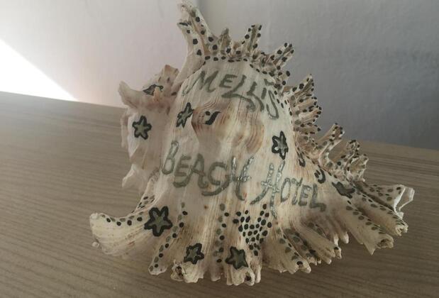 Mellis Beach Hotel - Görsel 9