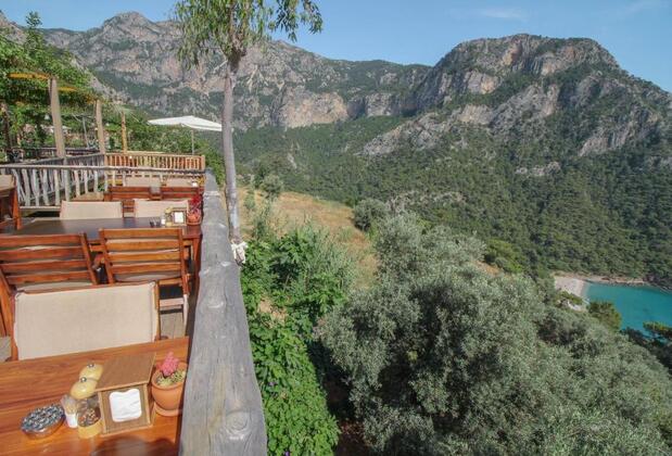 The Olive Garden Kabak - Görsel 4