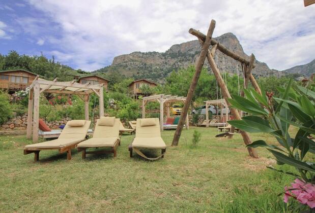 The Olive Garden Kabak - Görsel 6