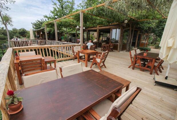 The Olive Garden Kabak - Görsel 8