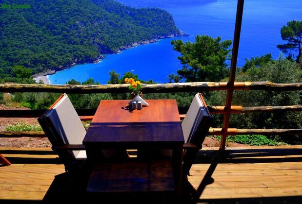 The Olive Garden Kabak - Görsel 9