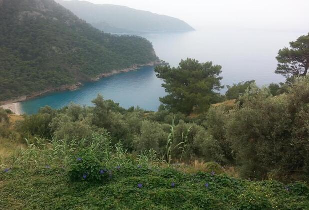 The Olive Garden Kabak - Görsel 5