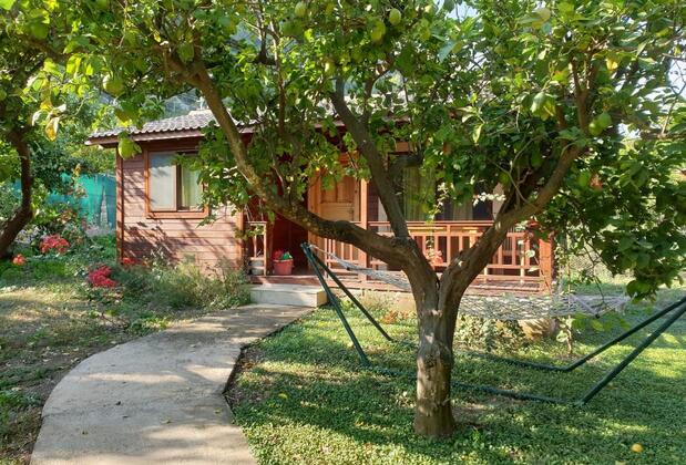 Çıralı Villas 2 - Görsel 14