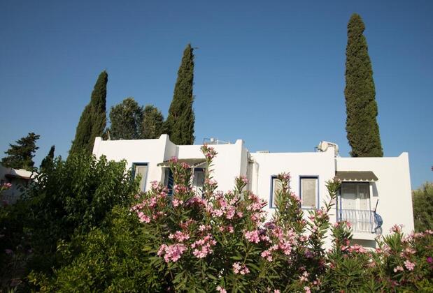 Dream Apart Bitez - Görsel 3