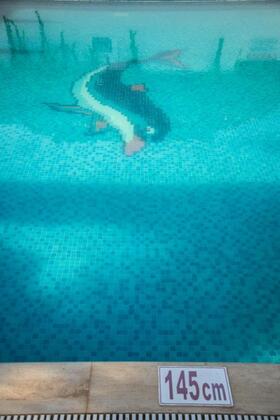 Dream Apart Bitez - Görsel 32