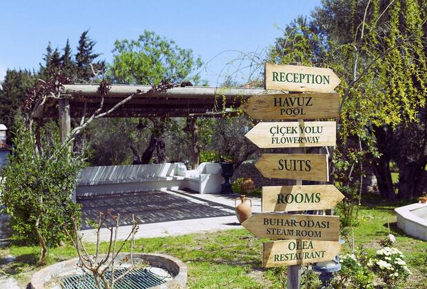 Olive Farm Guest House Of Datça - Görsel 28