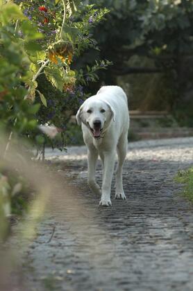 Olive Farm Guest House Of Datça - Görsel 12
