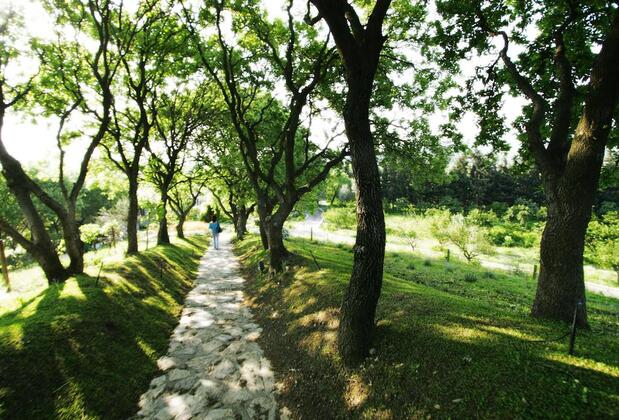 Olive Farm Guest House Of Datça - Görsel 17