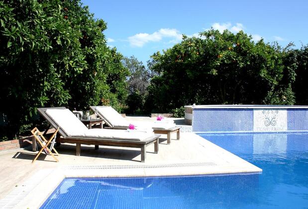 Olive Farm Guest House Of Datça - Görsel 33