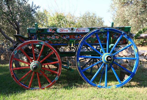 Olive Farm Guest House Of Datça - Görsel 13