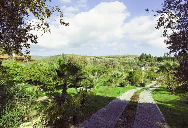 Olive Farm Guest House Of Datça - Görsel 19