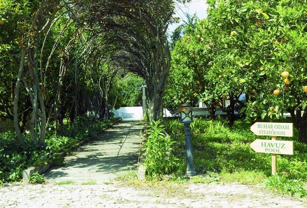 Olive Farm Guest House Of Datça - Görsel 8