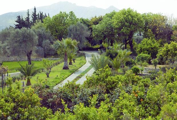 Olive Farm Guest House Of Datça - Görsel 20