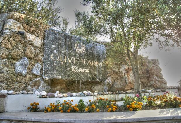 Olive Farm Guest House Of Datça - Görsel 6