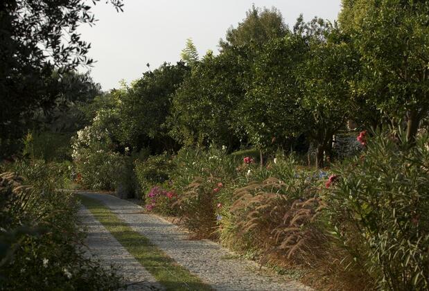 Olive Farm Guest House Of Datça - Görsel 25