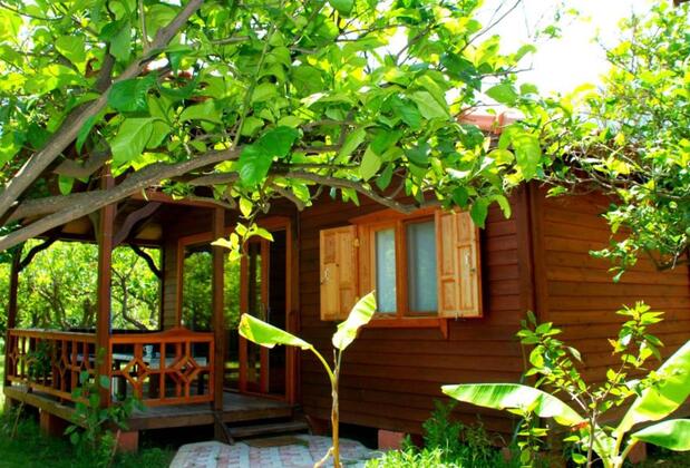 Baraka Houses - Görsel 18